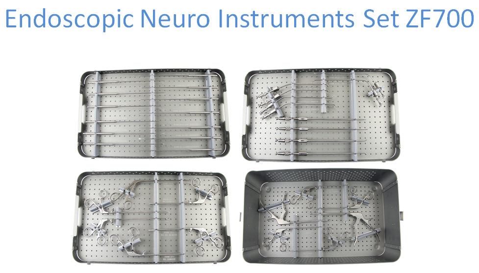 Endoscopic Neuro Instruments Set ZF700